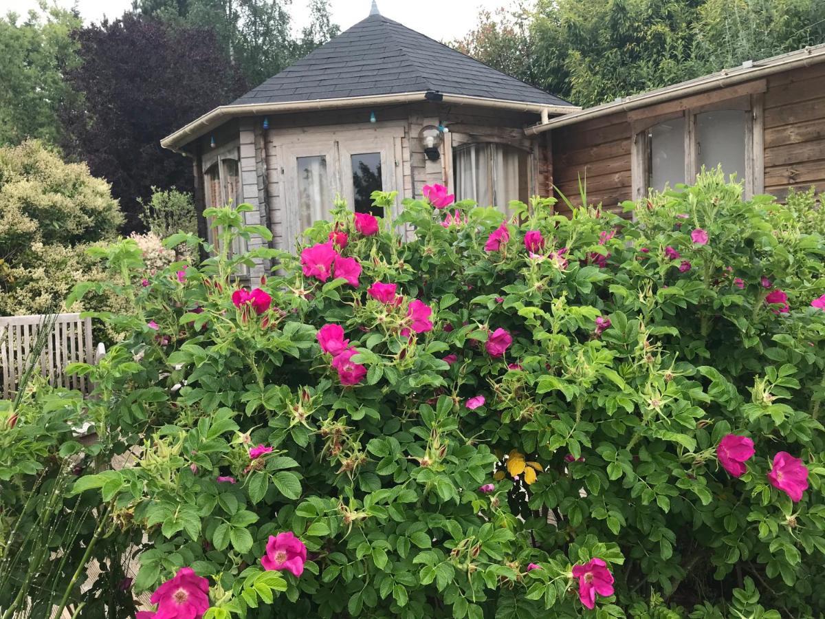 Le Jardin Sauvage Bed & Breakfast Maintenay Екстериор снимка