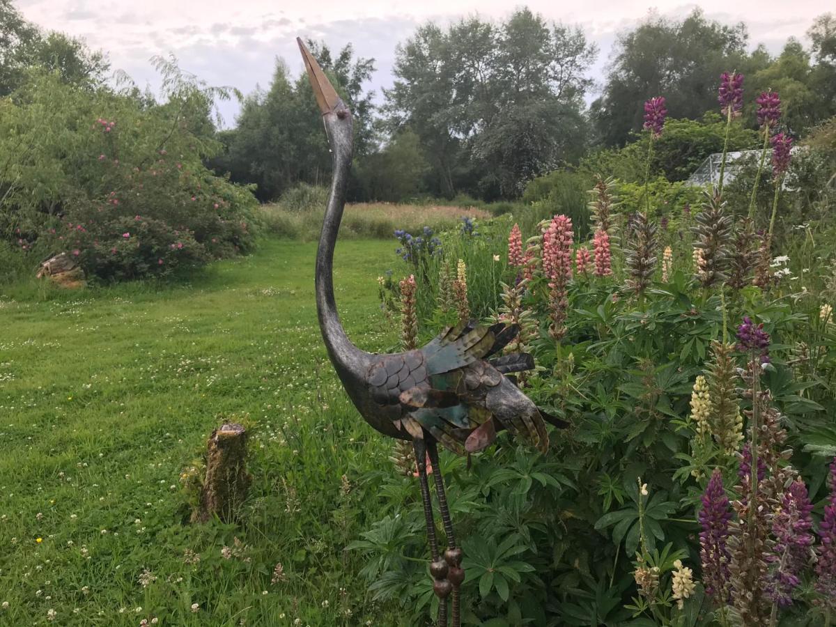Le Jardin Sauvage Bed & Breakfast Maintenay Екстериор снимка
