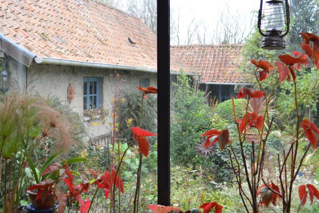 Le Jardin Sauvage Bed & Breakfast Maintenay Екстериор снимка