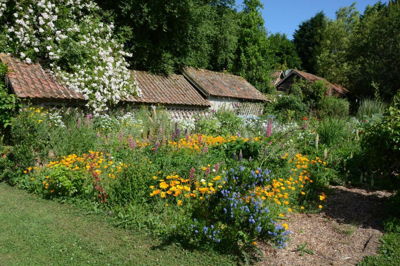 Le Jardin Sauvage Bed & Breakfast Maintenay Екстериор снимка