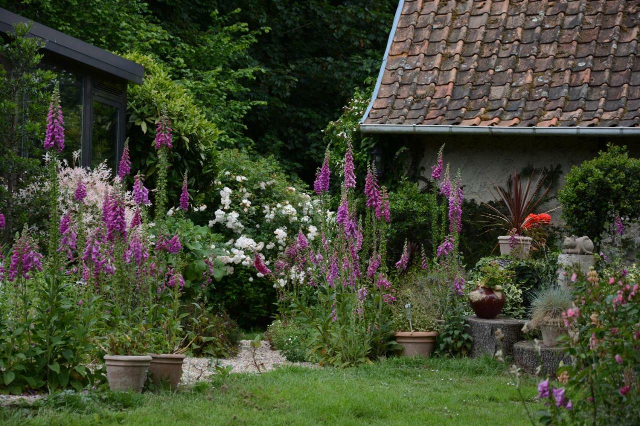 Le Jardin Sauvage Bed & Breakfast Maintenay Екстериор снимка