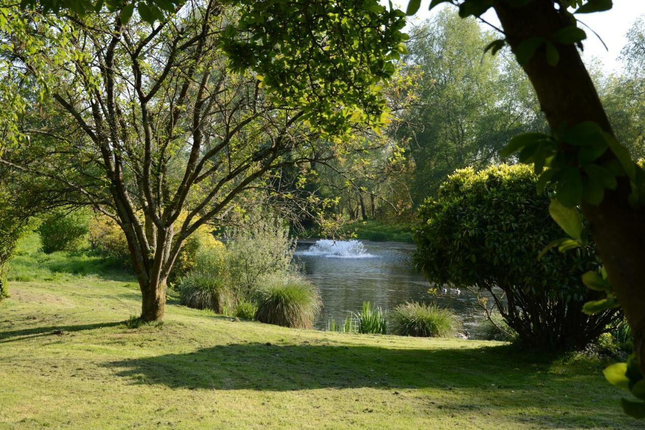 Le Jardin Sauvage Bed & Breakfast Maintenay Екстериор снимка